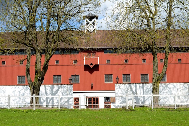 Semb hovedgård Linn Olafsen Vetle hest