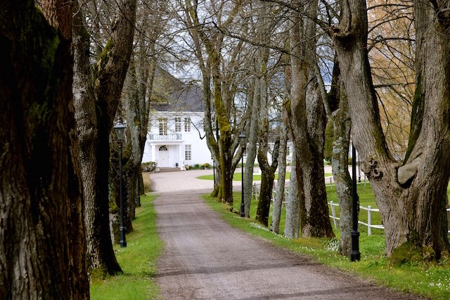 Semb hovedgård Linn Olafsen Vetle hest