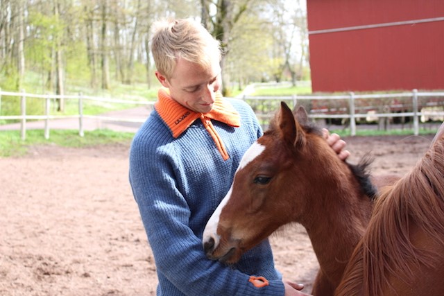 Semb hovedgård Linn Olafsen Vetle hest